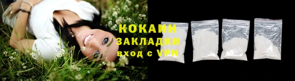 метадон Инта