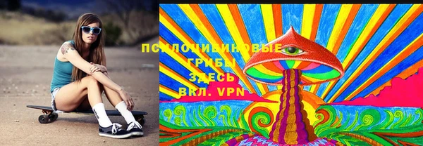 кокс Инсар