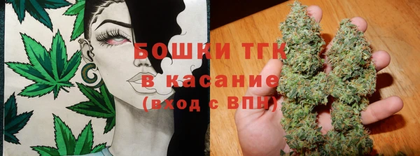 метадон Инта