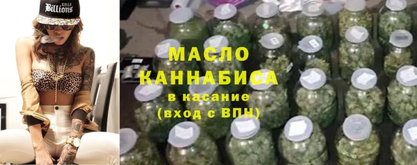 метадон Инта