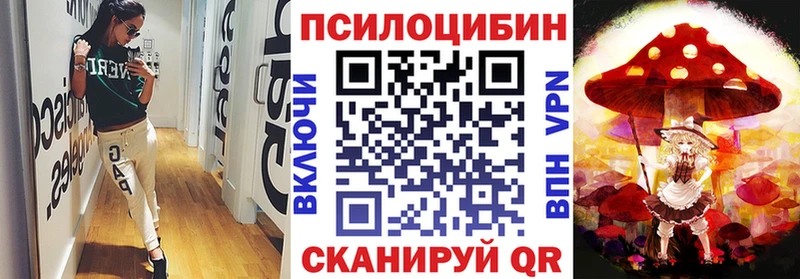 Псилоцибиновые грибы прущие грибы  blacksprut вход  Реутов  дарк нет официальный сайт  закладки 